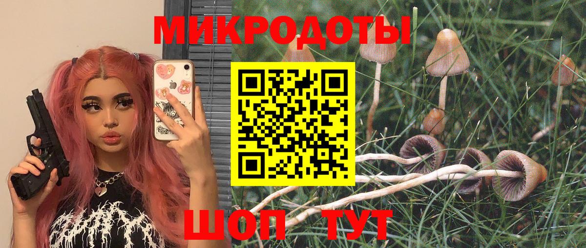 Галлюциногенные грибы GOLDEN TEACHER  Вход с VPN  Нерюнгри 